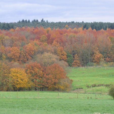 Hallerbos B&B In Bluebell Forest Хале Екстериор снимка